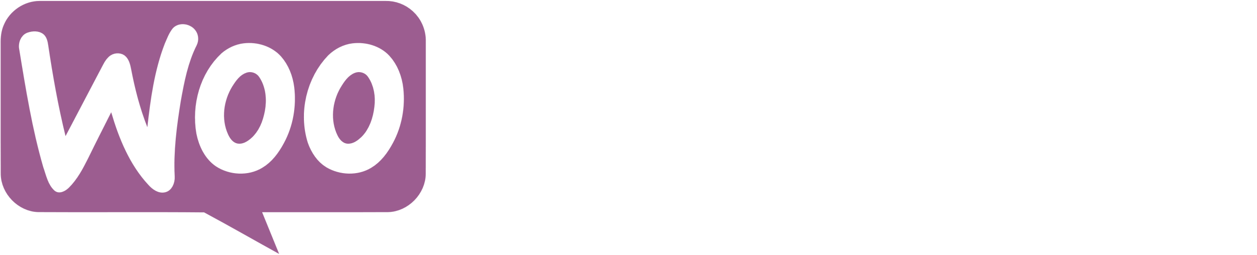 woocommerce experts
