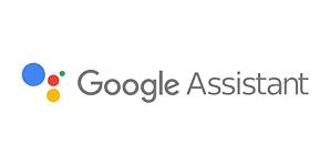 Google Assistant